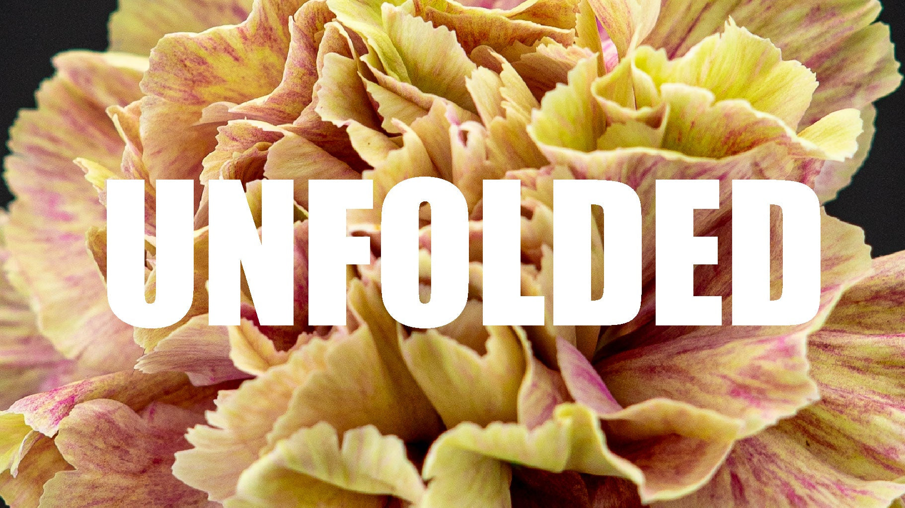 Das war unser erstes Mode Defilee