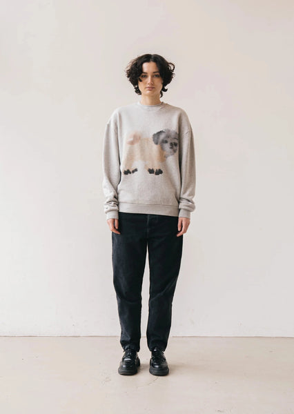 Sweater Pug, Pug-Rop van Mierlo