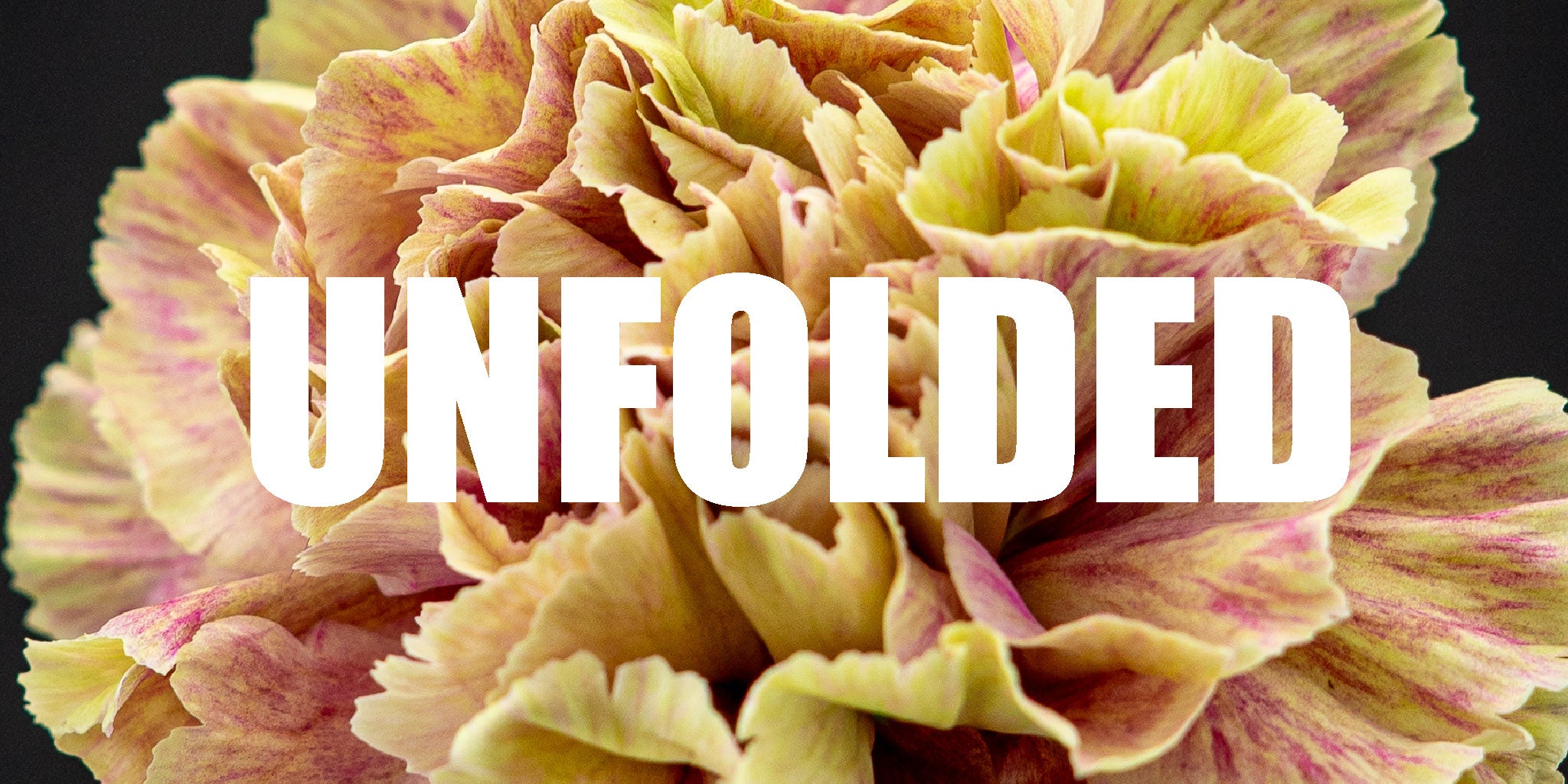 Das war unser erstes Mode Defilee