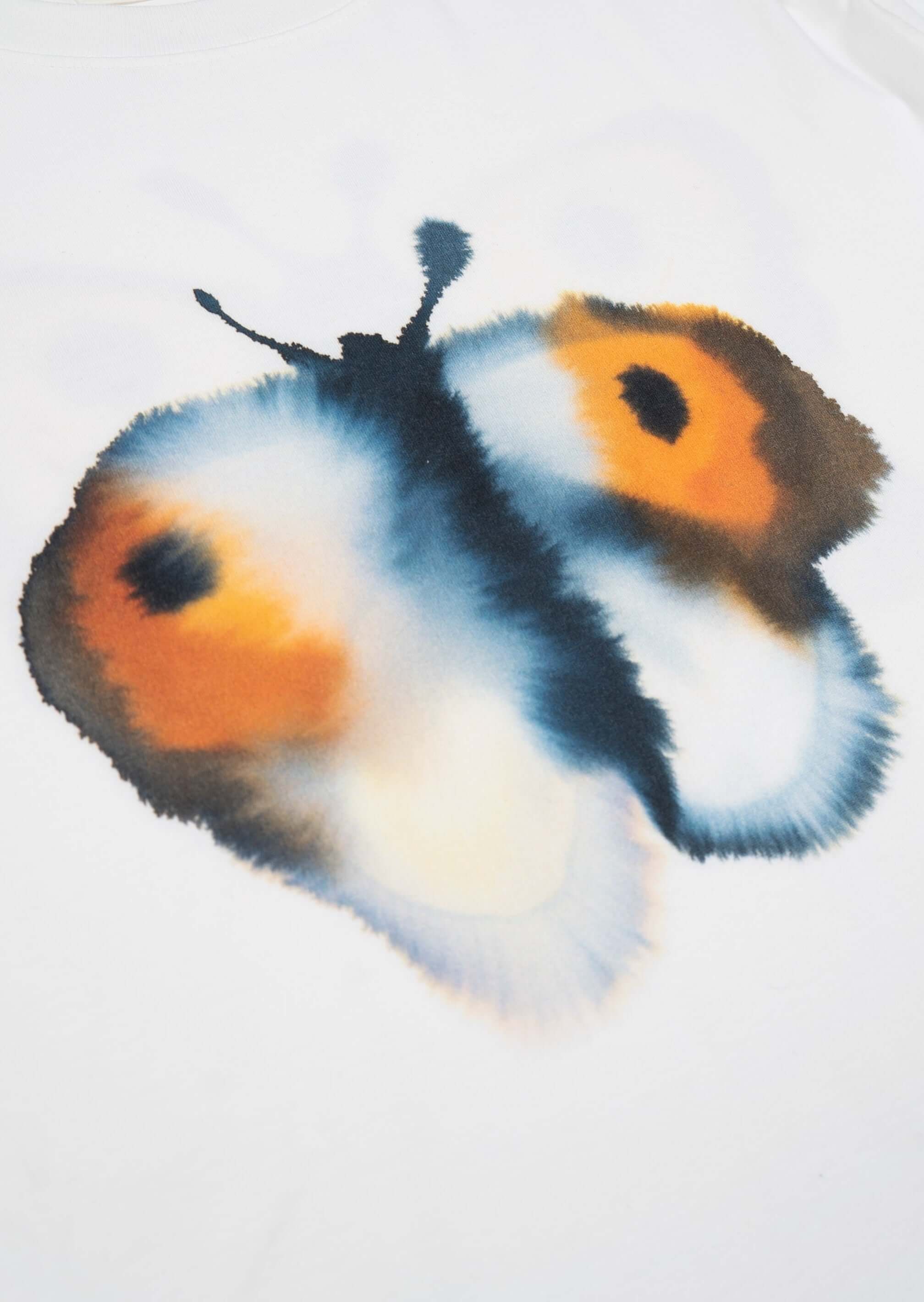 Rop van Mierlo-Butterfly