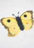 Rop van Mierlo-Butterfly