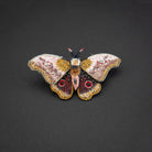 TROVELORE-Emperor Mopane Moth Brooch Pin