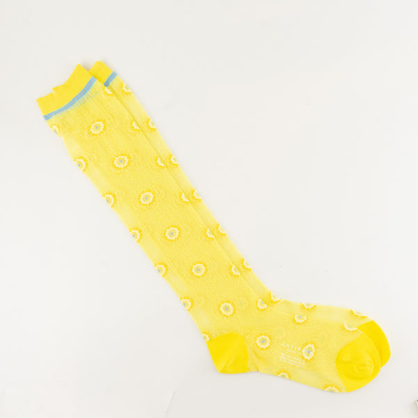 Antipast-Socken Lace