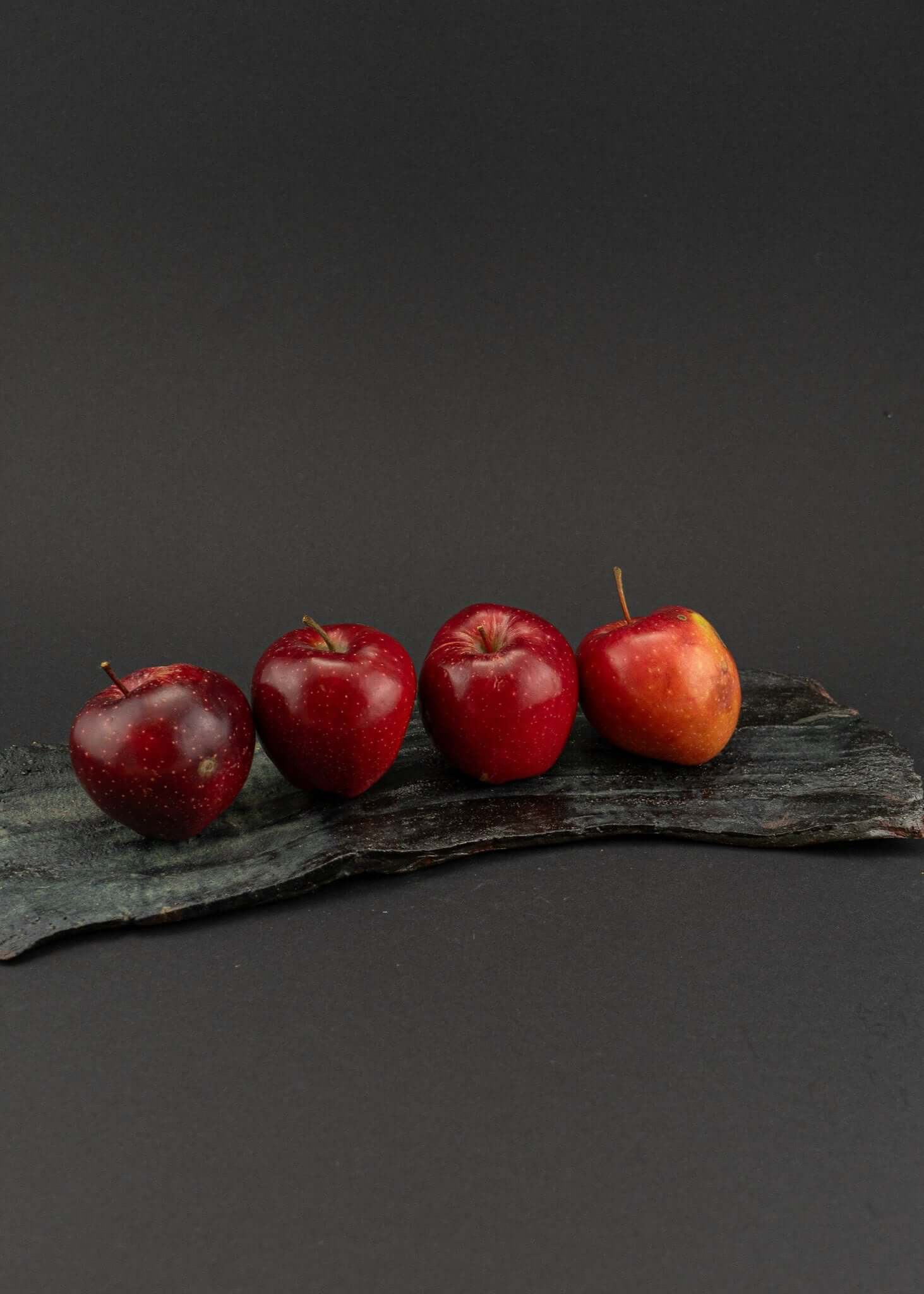 Kyokoceramics Sushi Plate