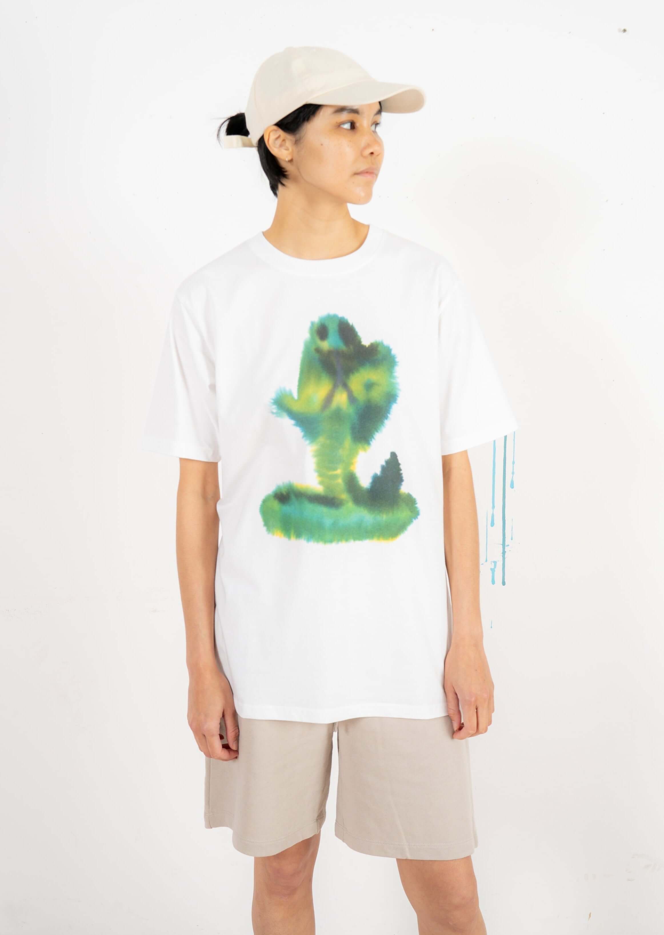 Rop van Mierlo-Snake Flamingo