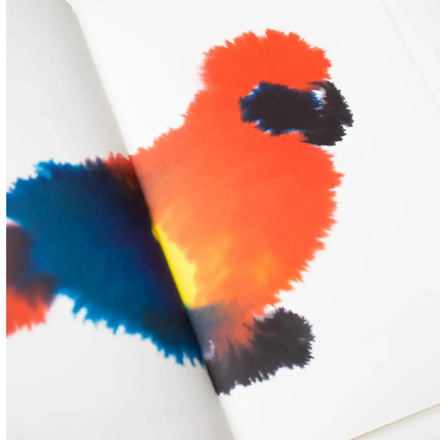 rop van mierlo_wild animals