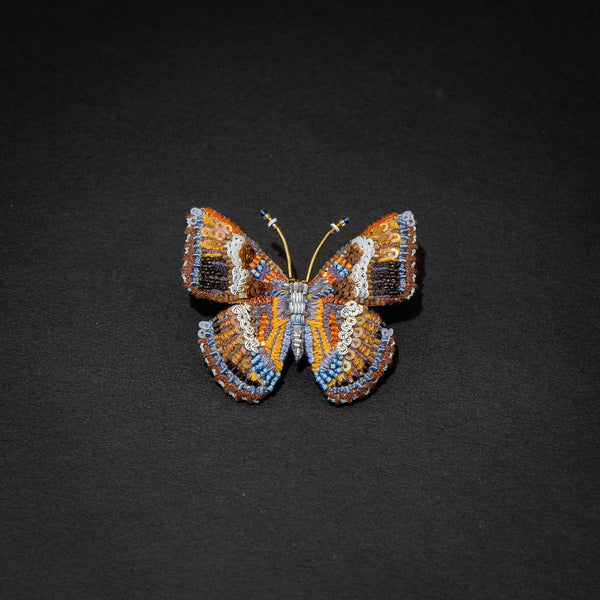 trovelore_arizona sister butterfly